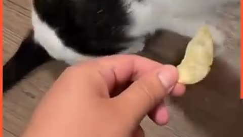🤣🤣🤣