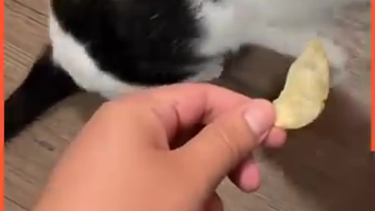 🤣🤣🤣