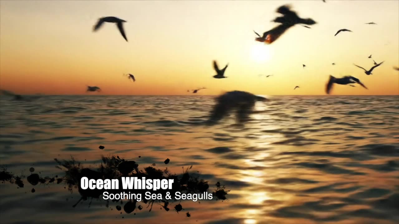 Relaxing Ocean Sounds with Seagulls | Calm Sea Waves for Sleep & Meditation | 3D Nature Ambience
