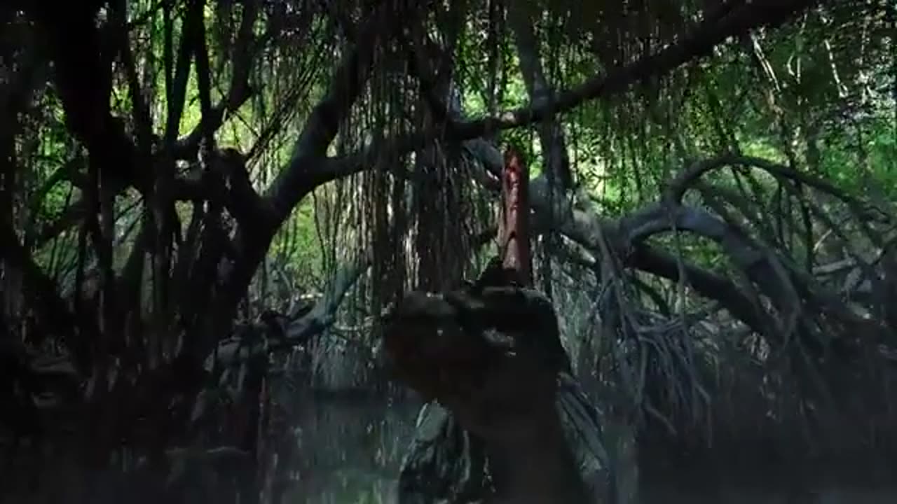 Swamp