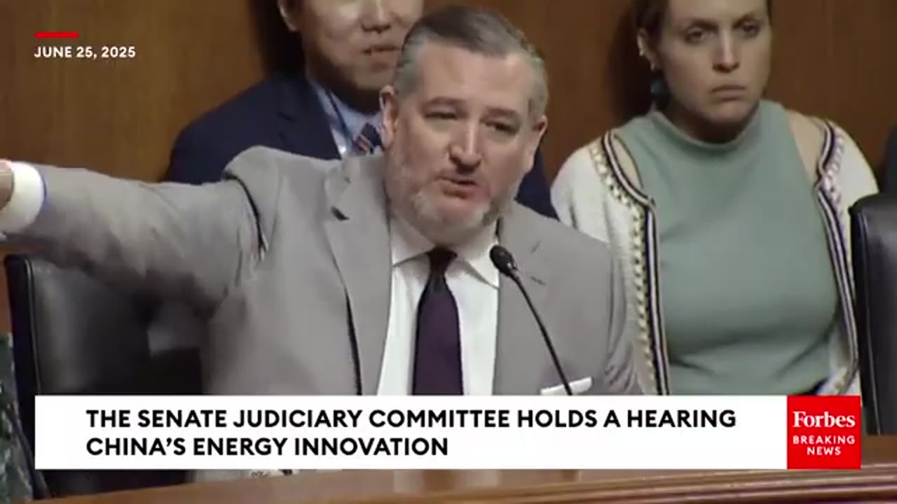 Ted Cruz Shows NO MERCY to Wacky Lefty Witness
