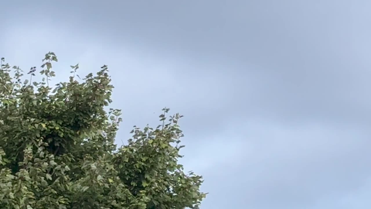 👽🔵 Unbelievable Metallic Orb Caught on Camera! UFO Sighting | TheTruthAbove