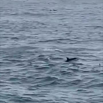 There’s always one.. 😂