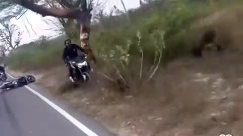 😲💥 Bike Stunt Goes Horribly Wrong! Don't Try This at Home! | FunFM