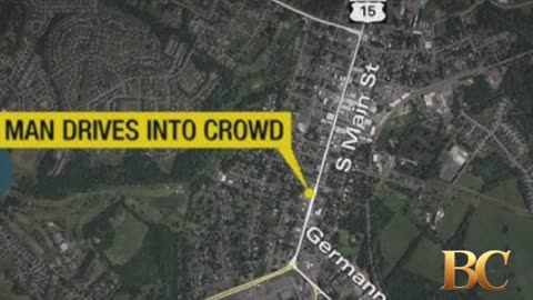Man drove into crowd at Virginia “No Kings” protest, police say