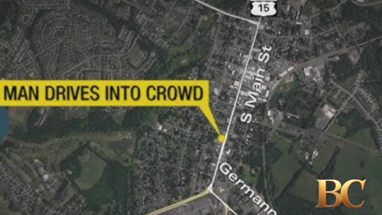 Man drove into crowd at Virginia “No Kings” protest, police say