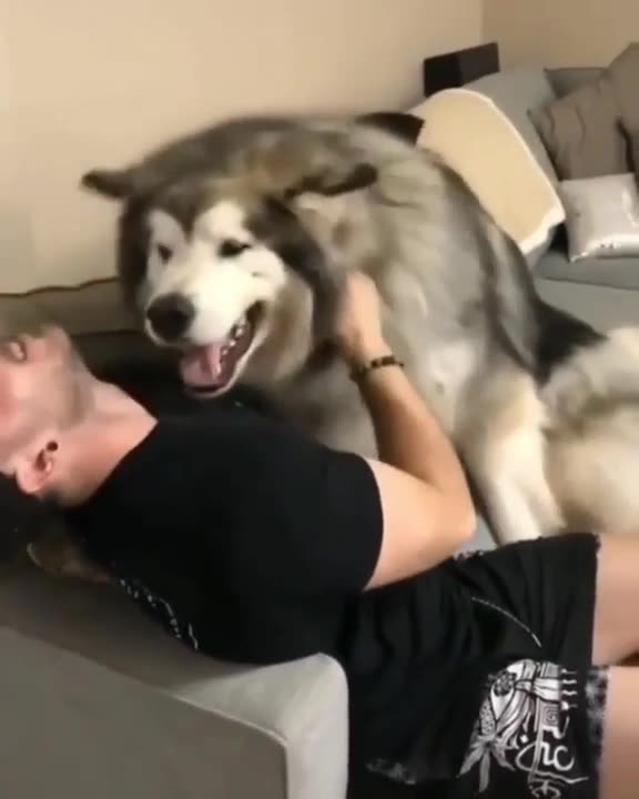 May be big but is still a baby