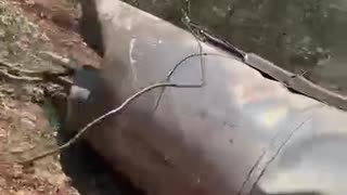 An Iranian missile that fell in an open area in the agricultural areas of Kafr Kanna, lower Galilee