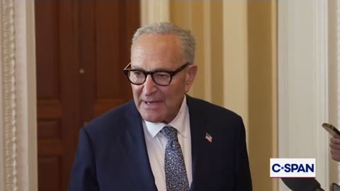 Reporter Calls Out Schumer Youve Never Called For Epstein Files