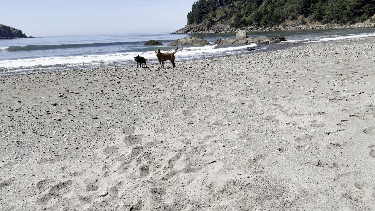 wrastlin at the beach