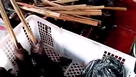 WUHAN MARKET