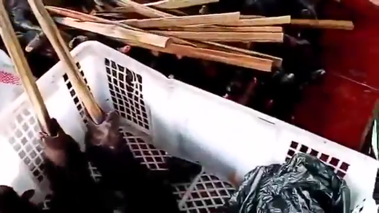 WUHAN MARKET