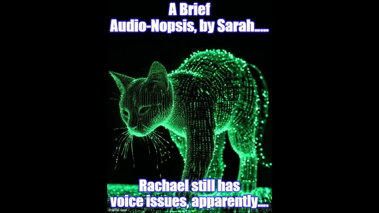 A Brief Audio-Nopsis By Sarah (because Rachaels voice is moody still)