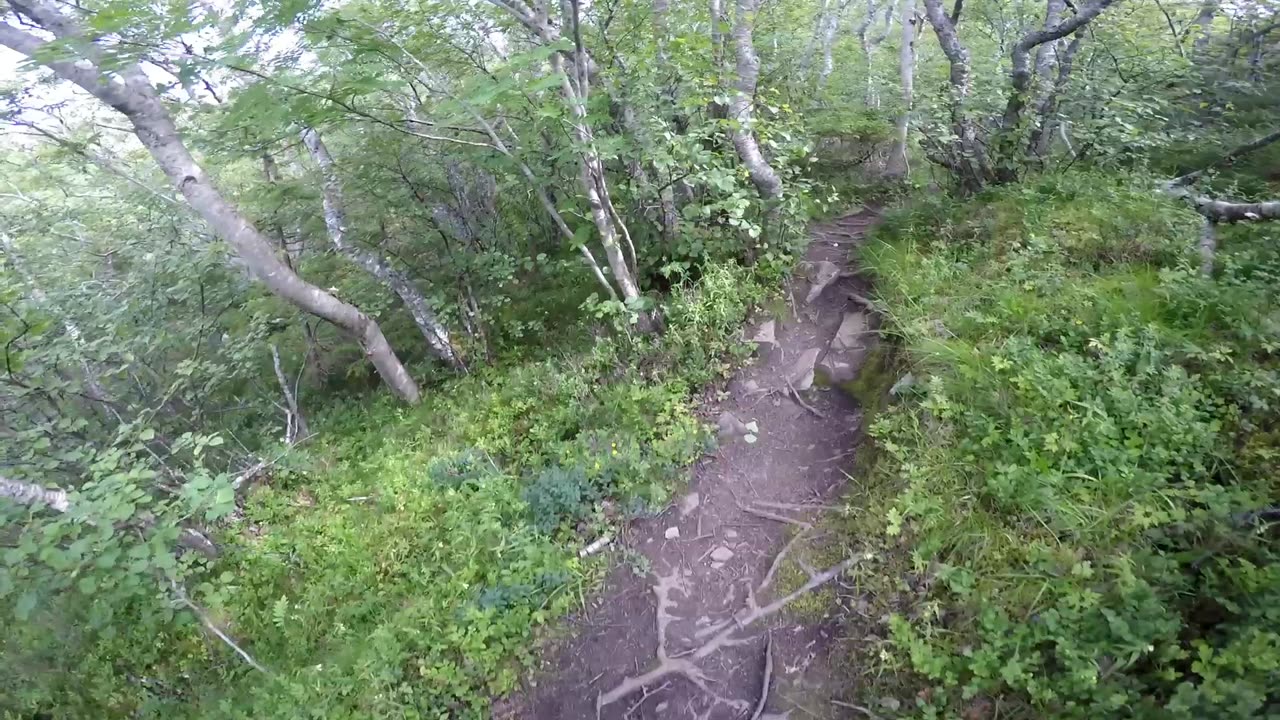 Trælnesfjellet 22.07.2015