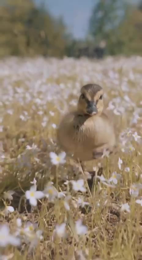 When quitting time comes on a Friday