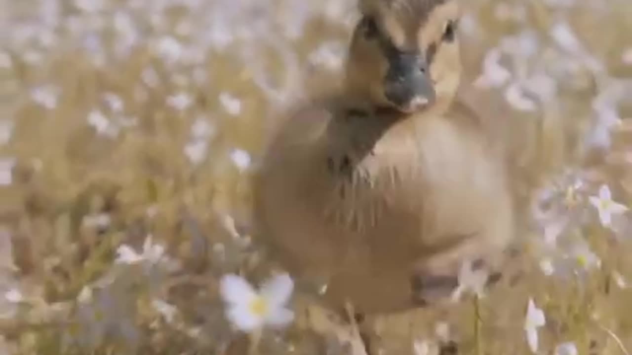 When quitting time comes on a Friday