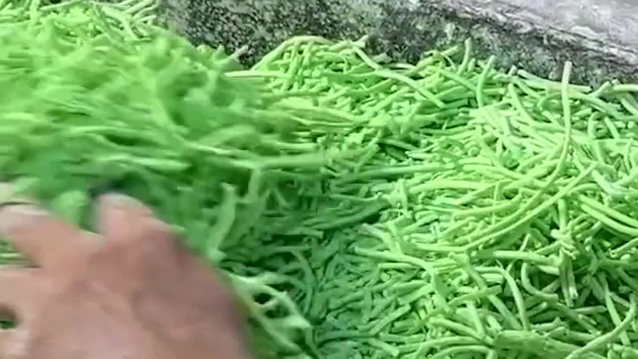 Industrial video...