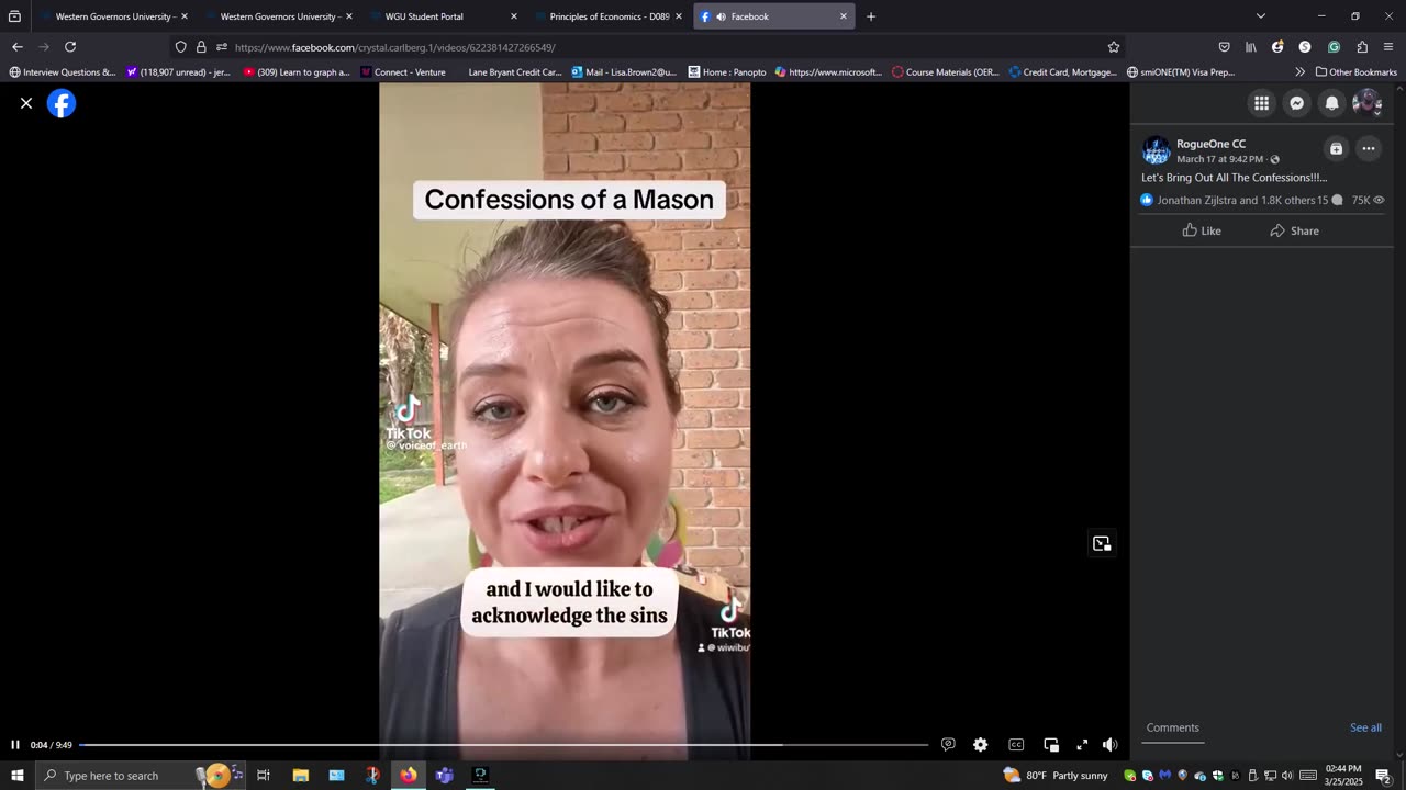 Targeted Individuals Confessions of A Mason