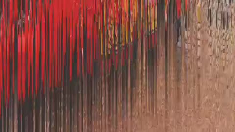 🔥🔥 Experience the Thrill of K-Cars in Oman! | LuxurySportsCars