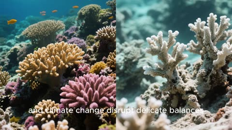 Into the Blue: Exploring the Enchanting Life Below the Surface
