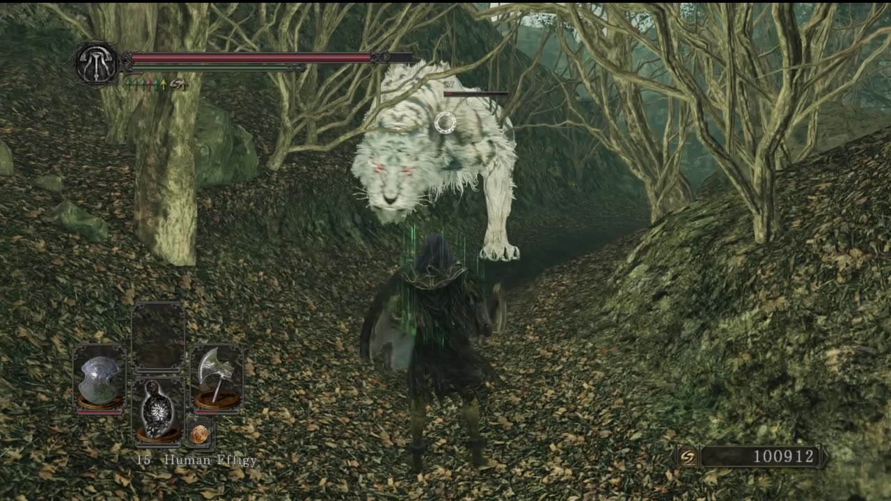 Dark Souls 2 Randomizer - More Upgrades are Needed