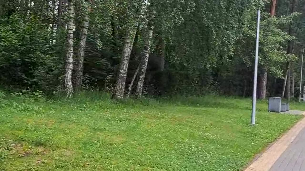 Walk from Taikos Ave to Lidl (Rain Incoming?) πΆββοΈβοΈ