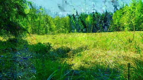 Green Radio: 24/7 Concert of Birds and Nature Sounds