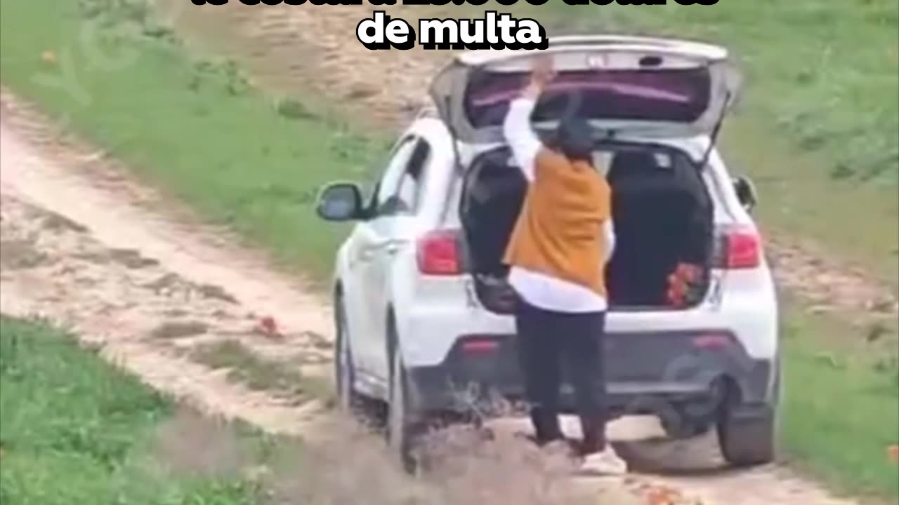 Recoge un ramo de flores en extinción en un campo y ahora debe pagar 23.000 dólares