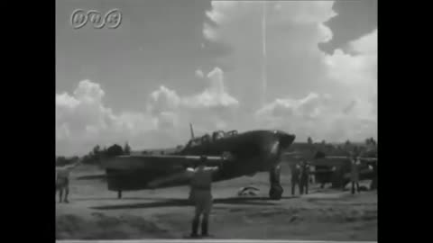 [日本軍] 空技廠D4Y 彗星 Yokosuka D4Y Judy