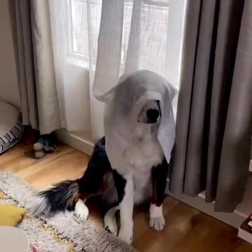 Playing hide and seek