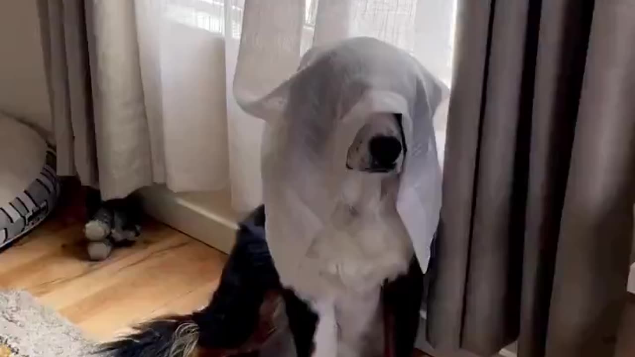 Playing hide and seek