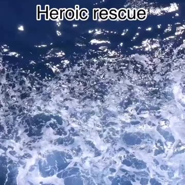 Bellarose & the Captain