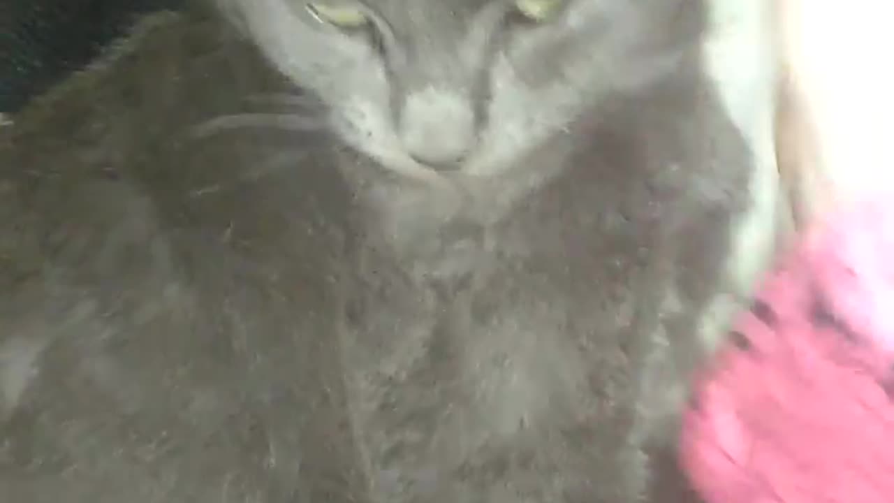 Windigo old video
