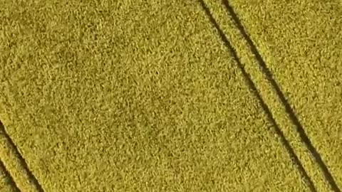 🛸📸 Stonehenge Dronescape: UFOs Over Ancient Site? | TheTruthAbove