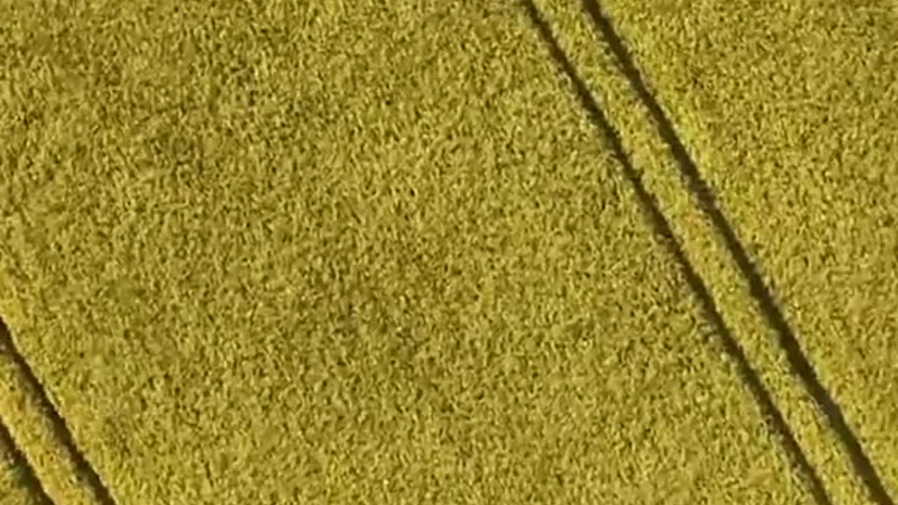 🛸📸 Stonehenge Dronescape: UFOs Over Ancient Site? | TheTruthAbove