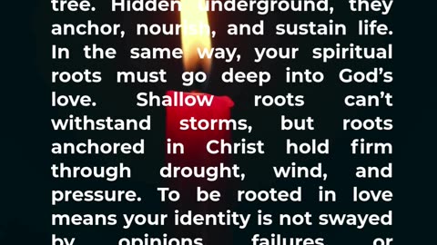 Love Never Fails