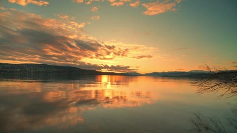 Beautiful moments