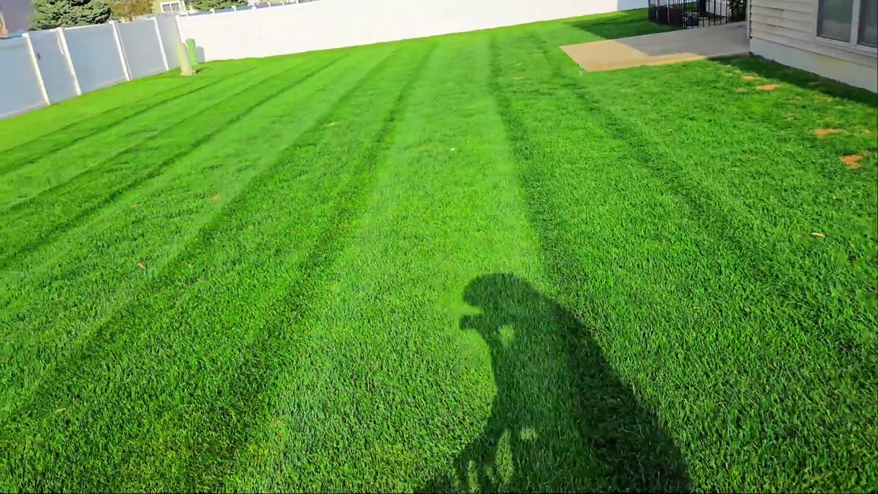 I mowed a house for free!