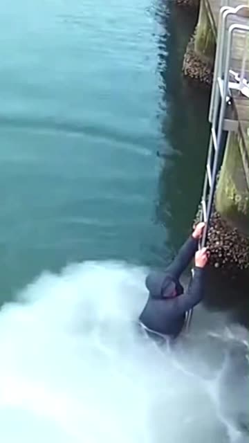 CCTV footage #viralvideo #minicamera #animals #shorts