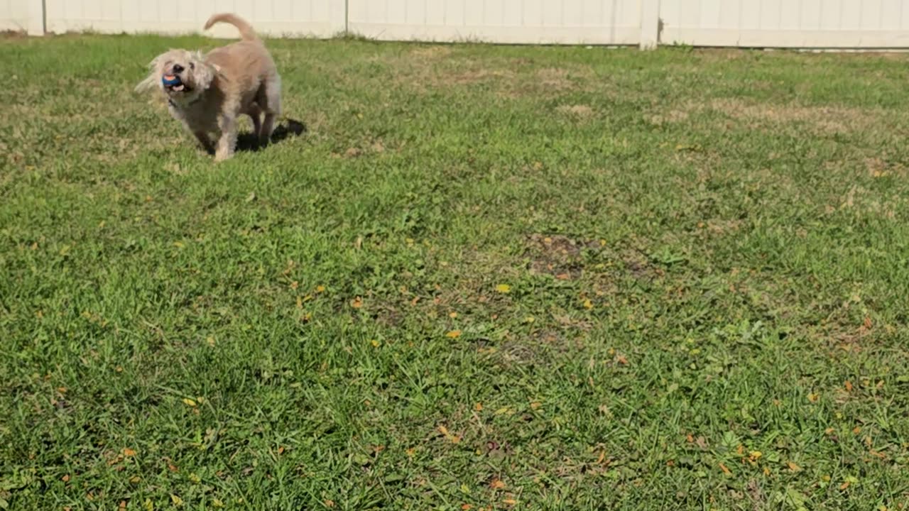 BERKELEY IN THE BACKYARD 10/29/25