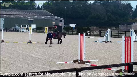 Mousehold Farm All Weather Riding arena