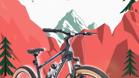 Top Rated 27.5 Orbiter MTB at Stryder Bike