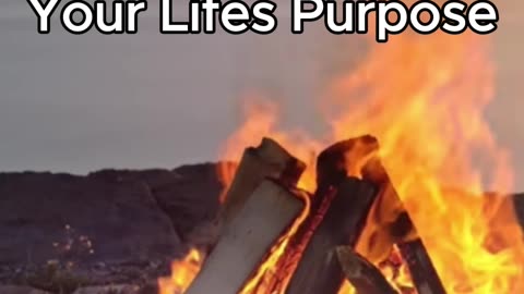 Why So Many Men Live Quietly Miserable Lives