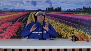 Hollywood's Blind Spot - Tim Dillon Show #america #politics #cia