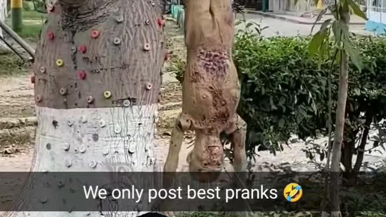 Prank