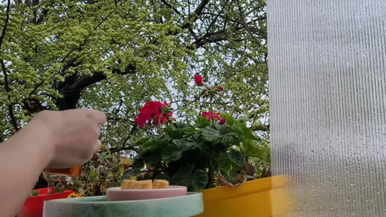 What I’m Cooking on a Cozy, Rainy Day | Taste of Tradition | Rustic🍪😋