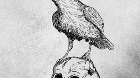 The Raven 🐦‍⬛