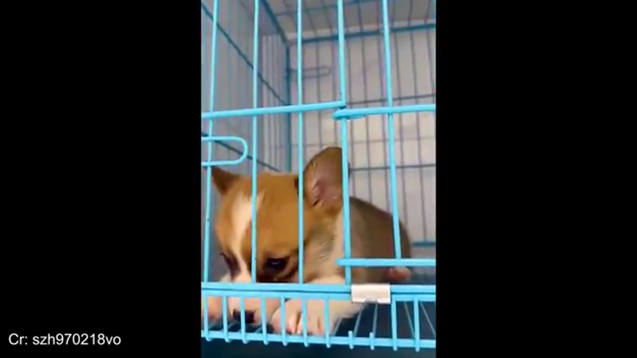 HOPE THIS MADE YOUR DAY