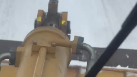 Fighting Cats Block Snow Removal Equipment