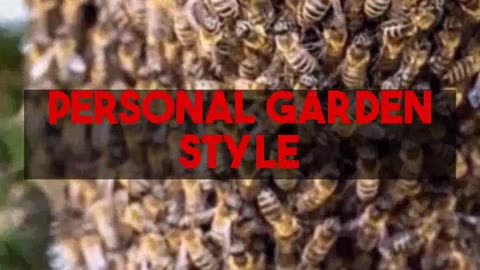 Unpacking AI Approaches to Garden Plant Pairings